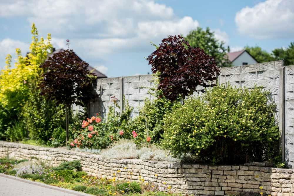 Villa Skalny Widok Hucisko  Exterior foto